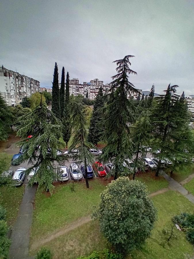 Apartments Mellon Podgoriţa Exterior foto